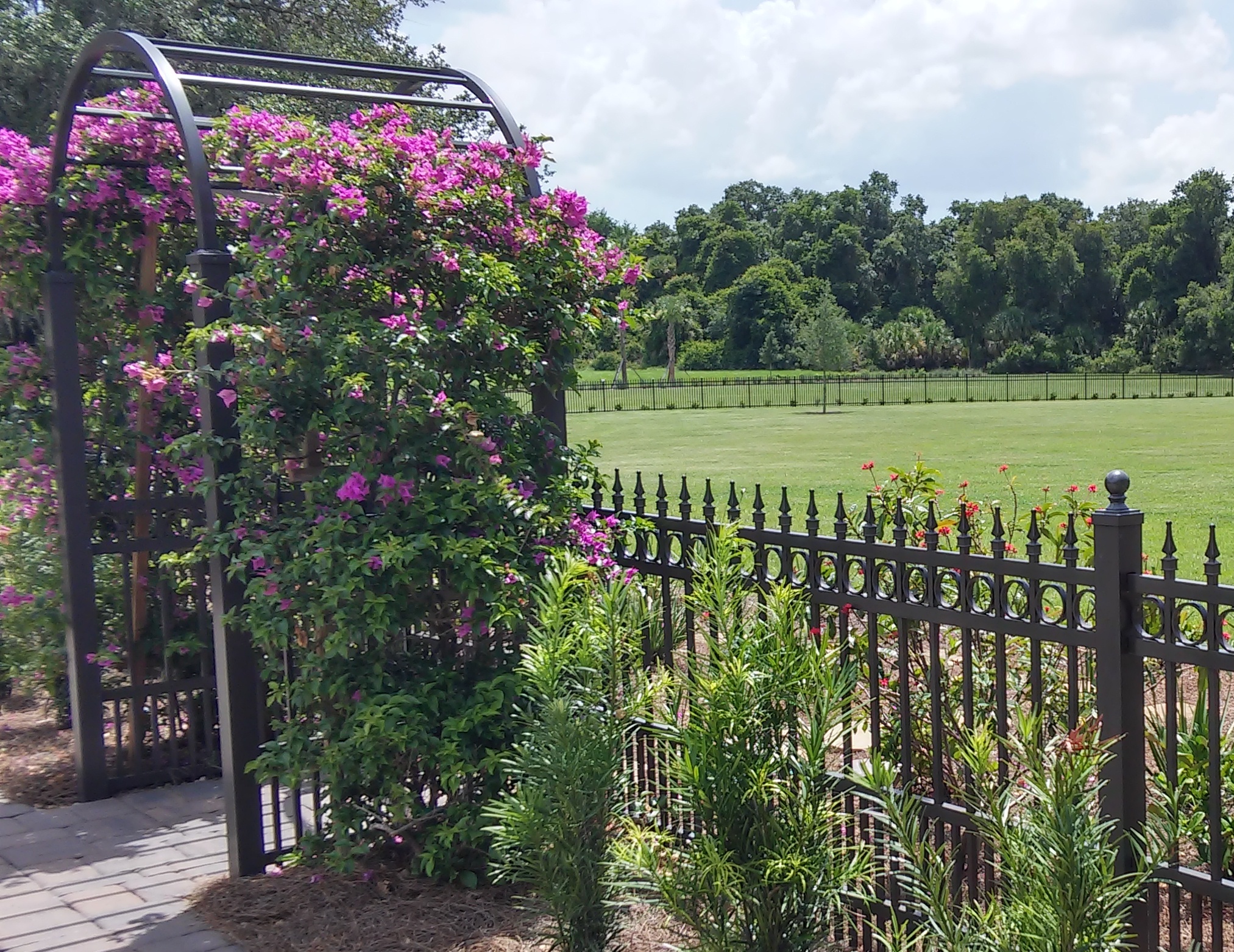 Hiring a Fence Contractor the Right Way