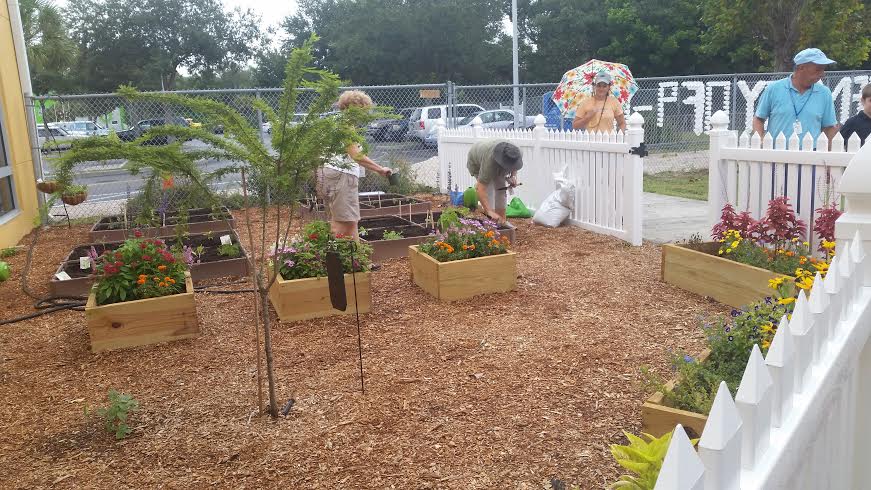 Sarasota Boys & Girls Club Adds Teaching Garden
