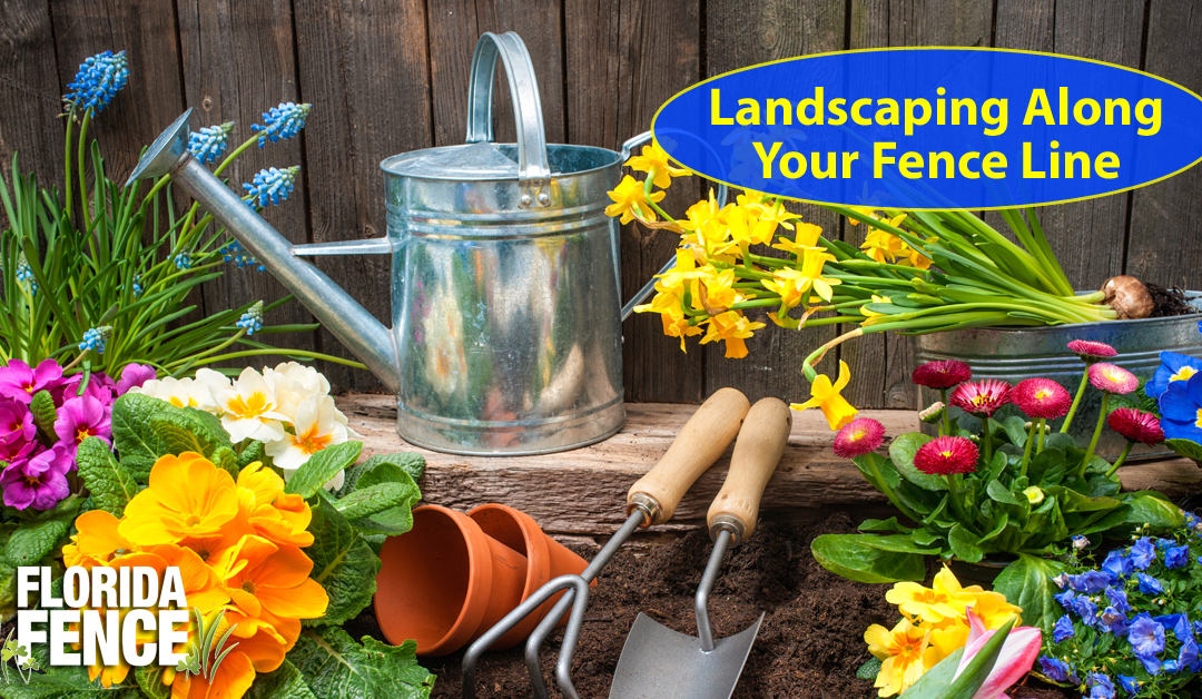 Ways to Landscape Along Your New Fence Line