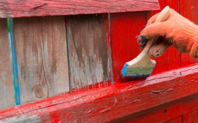The Ultimate Guide to Fence Painting and Staining